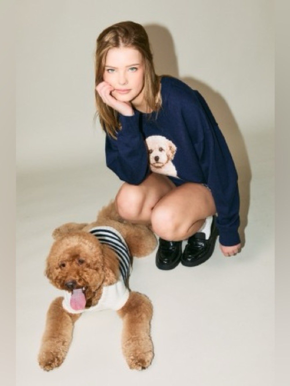 NWT Le Lis Navy Goldendoodle Dog Crew Neck Sweater Small - Picture 4 of 10